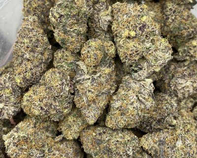 DIABLO GELATO (EXOTIC) - Image 1